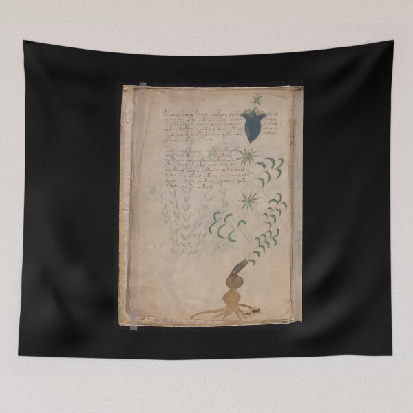 Item preview, Voynich manuscript book cover  Illustrated codex  designed and sold by TeeARTHY.
