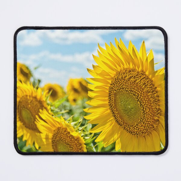 Item preview, Blooming Sunflowers  designed and sold by newburyboutique.
