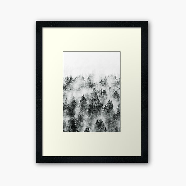 In My Other World // Sunrise In A Romantic Misty Foggy Autumn Fairytale Wilderness Forest With Trees Covered In Fog And Sunlight... 