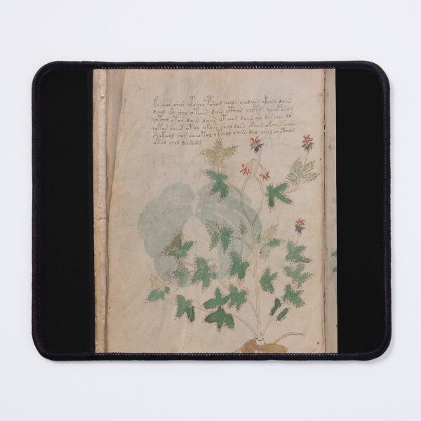 Item preview, Voynich manuscript book cover Illustrated codex green leaf and flower designed and sold by TeeARTHY.
