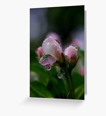 Dreary Greeting Card