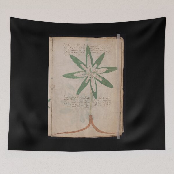 Item preview, Voynich manuscript book cover  Illustrated codex  green leaf and  star flower designed and sold by TeeARTHY.
