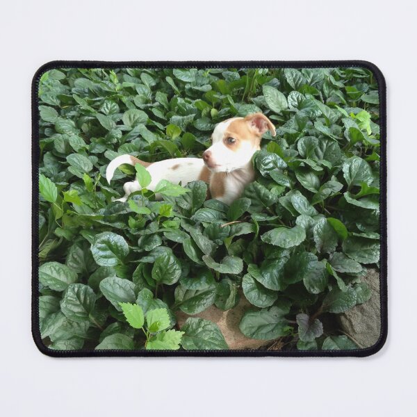 Item preview, Leo Beagle  designed and sold by Zarabeaver.