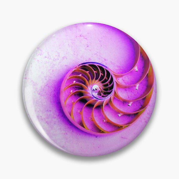 Item preview, shell pearl nautilus Fibonacci section spiral pearl symmetry cross golden ratio shell fibonacci structure growth close up mother pearl spiral ( pompilius nautilus) - stock photo coral shell tones designed and sold by cheekylorns.