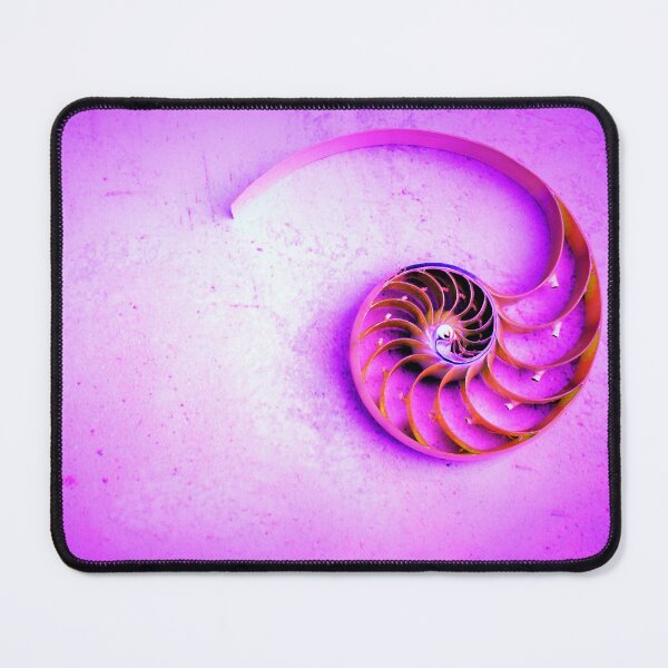 Item preview, shell pearl nautilus Fibonacci section spiral pearl symmetry cross golden ratio shell fibonacci structure growth close up mother pearl spiral ( pompilius nautilus) - stock photo coral shell tones designed and sold by cheekylorns.