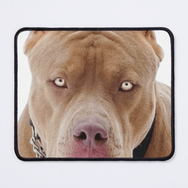 Item preview, Dog Pit Bull Red Norse designed and sold by RM-FASHION.