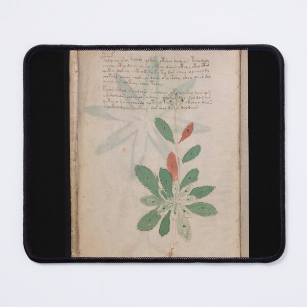 Item preview, Voynich manuscript book cover Illustrated codex green leaf and star flower designed and sold by TeeARTHY.