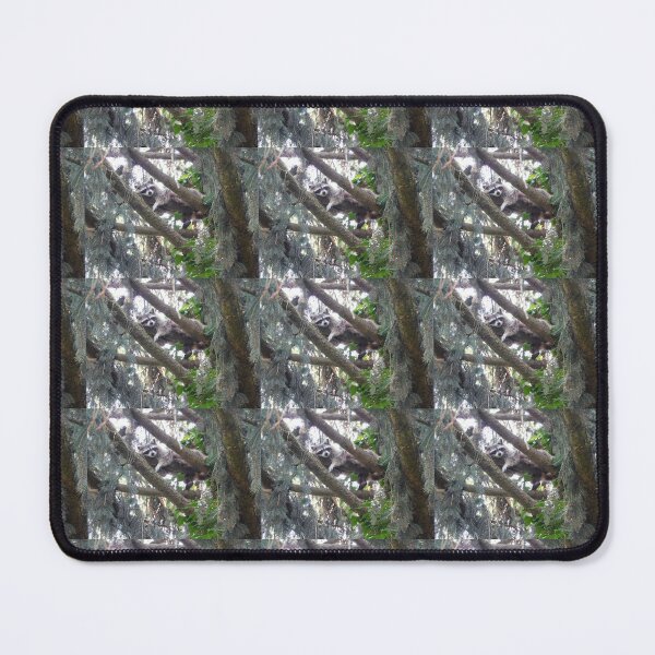 Item preview, Raccoon sleeping  designed and sold by Zarabeaver.