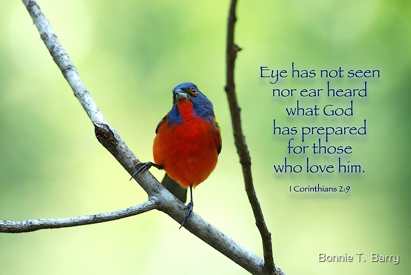 "Eye has not seen nor ear heard what God has prepared . . ." by Bonnie