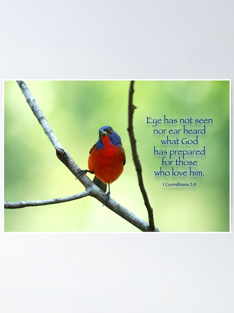  Eye Has Not Seen Nor Ear Heard What God Has Prepared Poster For 