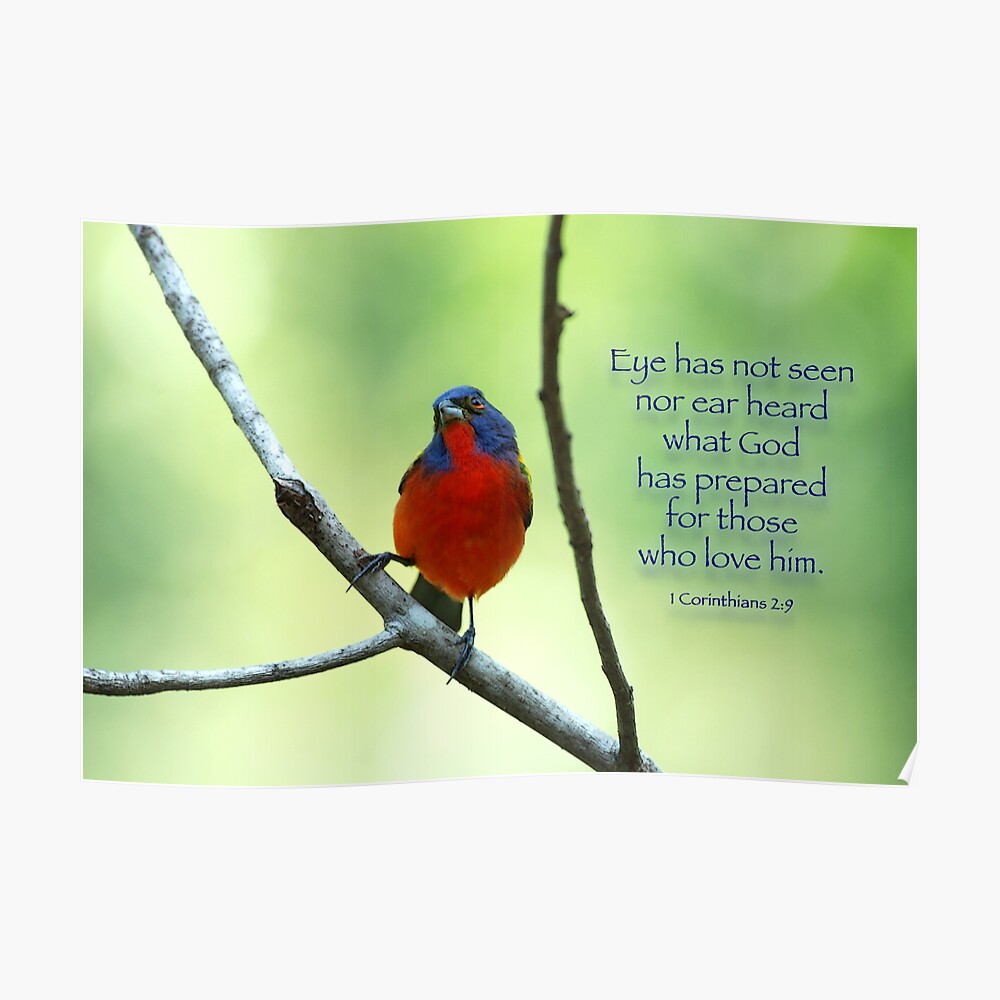 "Eye has not seen nor ear heard what God has prepared . . ." Poster by