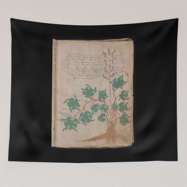 Item preview, Voynich manuscript book -manuscript old book vintage designed and sold by TeeARTHY.