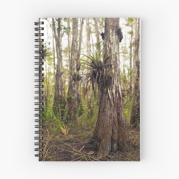 Item preview, Epiphyte Party – Air Plants in Big Cypress Preserve designed and sold by Matt Tilghman.