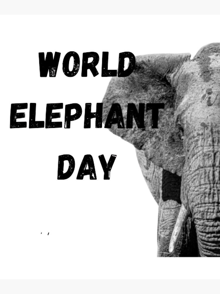 "World Elephant day 2022" Poster for Sale by samspassion Redbubble