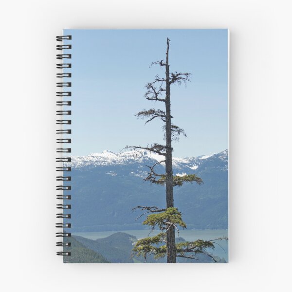 Item preview, Lone Pine designed and sold by phil decocco.