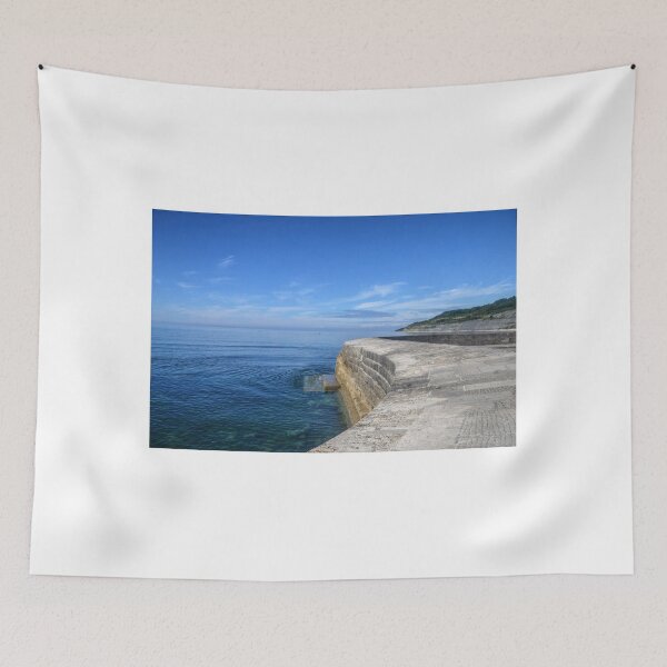 Item preview, Well trodden Harbour Wall....Lyme Regis, Dorset UK designed and sold by lynn carter.