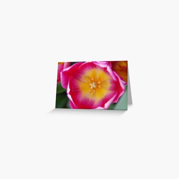 Heart of Gold Greeting Card