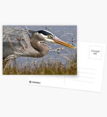 Intensity Postcards