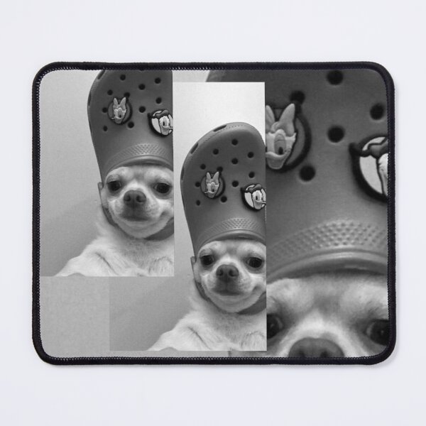 Item preview, dog with shoe on head designed and sold by Kelwin-Antunes.
