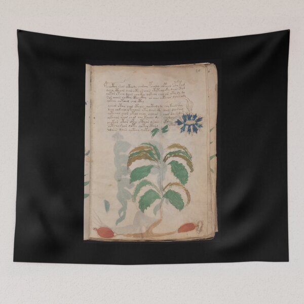 Item preview,  Voynich manuscript book -manuscript old book vintage designed and sold by TeeARTHY.