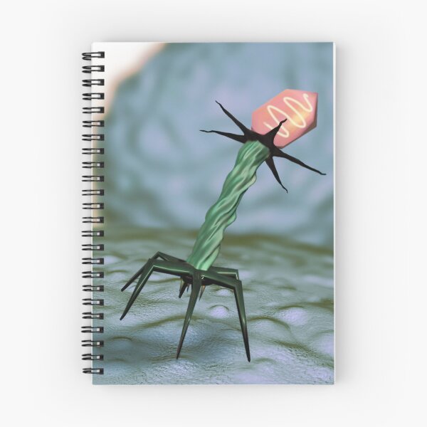 Item preview, T4 Bacteriophage on E Coli Bateria,  Virus, Medical Illustration designed and sold by ScienceSource.