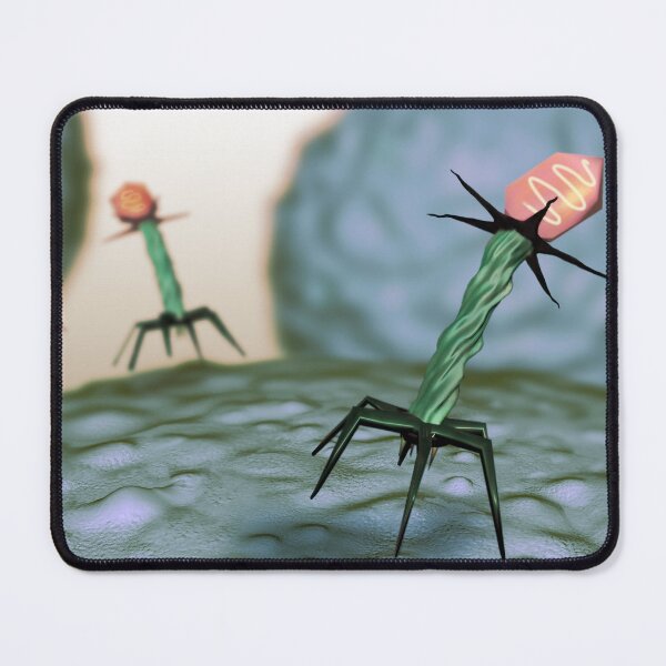 Item preview, T4 Bacteriophage on E Coli Bateria, Virus, Medical Illustration designed and sold by ScienceSource.