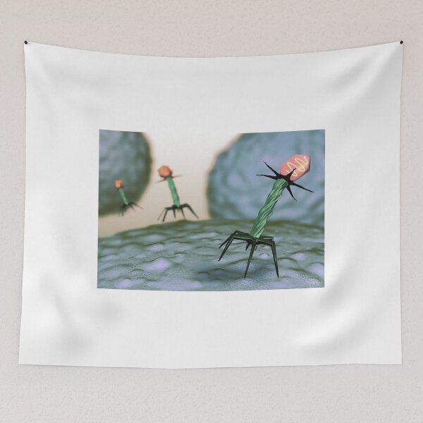 Item preview, T4 Bacteriophage on E Coli Bateria,  Virus, Medical Illustration designed and sold by ScienceSource.