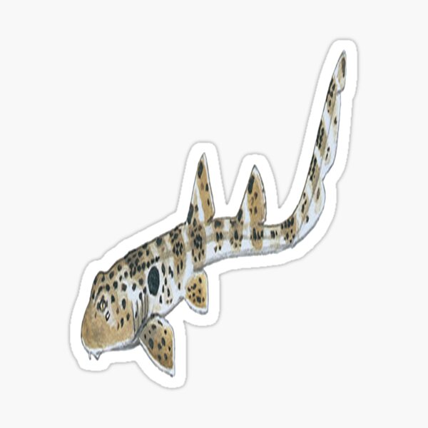 Item preview,  Epaulette Shark designed and sold by CaliforniaDi.