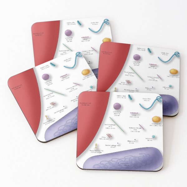Item preview, Virus vs. Bacteria, Comparison of Sizes designed and sold by ScienceSource.