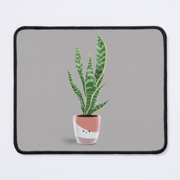 Item preview, Sansevieria Trifasciata / Snake Plant designed and sold by Anna-Kik.