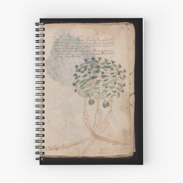 Item preview,  Voynich manuscript book -manuscript old book vintage designed and sold by TeeARTHY.