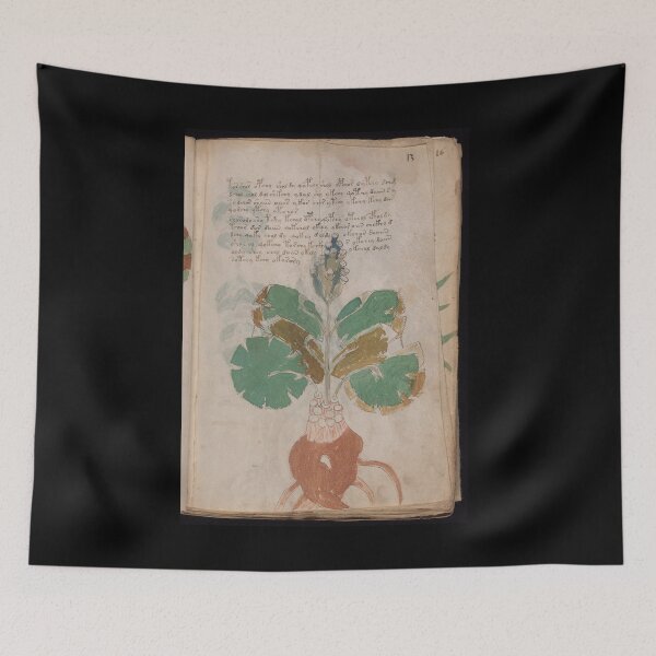 Item preview, Voynich manuscript book - manuscript old book vintage - mysterious manuscript, designed and sold by TeeARTHY.