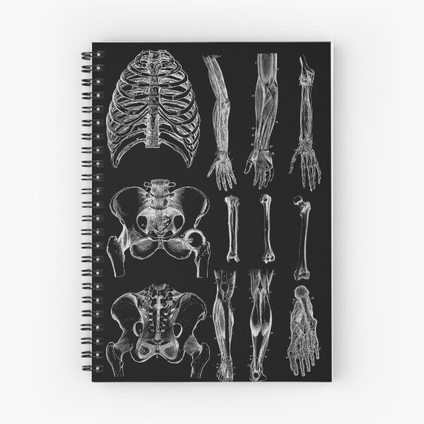 Item preview, Vintage human anatomy  designed and sold by Preslava Genova.