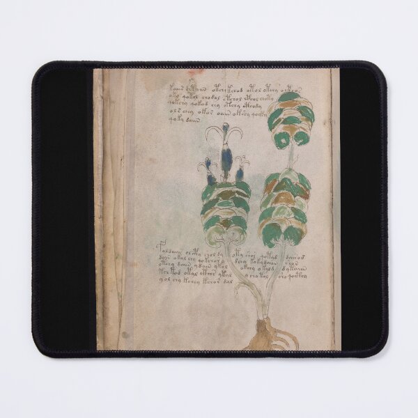 Item preview, Voynich manuscript book - manuscript old book vintage - mysterious manuscript, designed and sold by TeeARTHY.