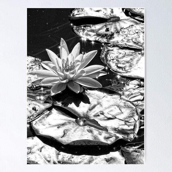 Item preview, Liquid Silver in the Sun designed and sold by BBrightman.
