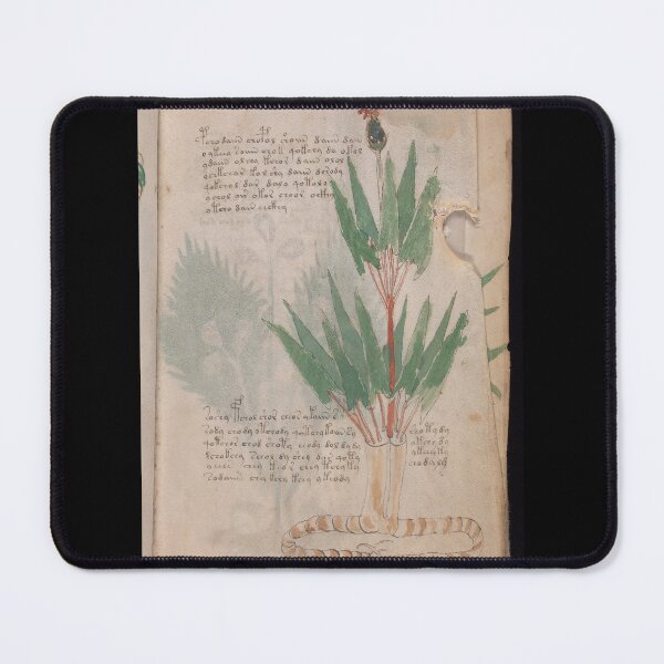 Item preview, Voynich manuscript book - manuscript old book vintage - mysterious manuscript, designed and sold by TeeARTHY.