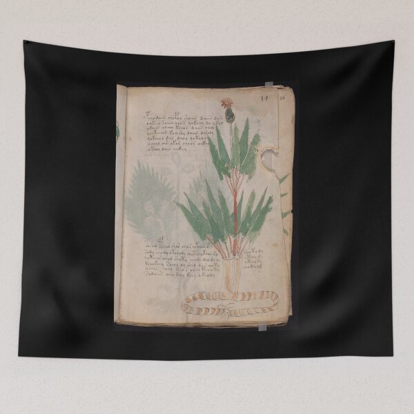 Item preview,  Voynich manuscript book - manuscript old book vintage - mysterious manuscript, designed and sold by TeeARTHY.