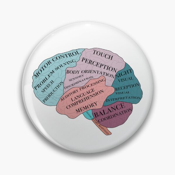 Item preview, Brain Functions designed and sold by kaylanettleton.