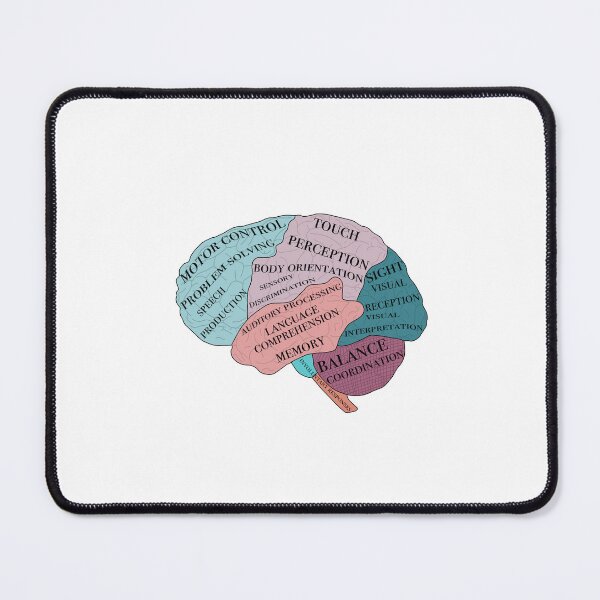 Item preview, Brain Functions designed and sold by kaylanettleton.