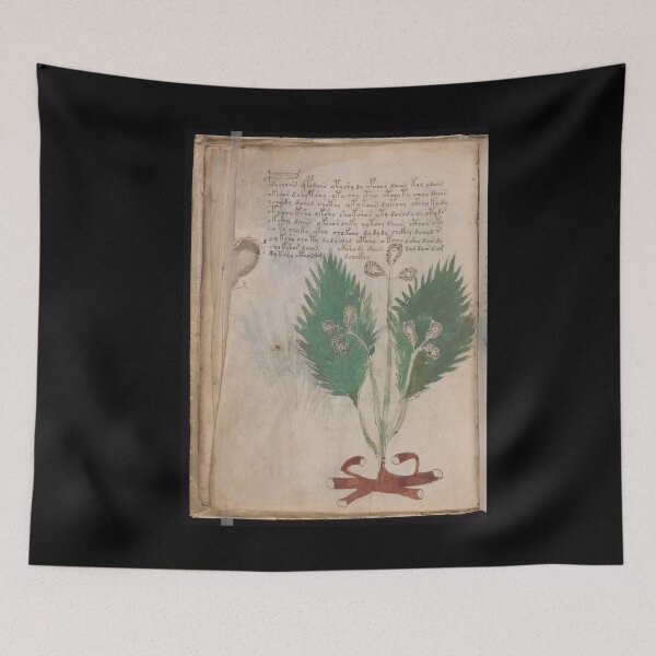 Item preview, Voynich manuscript book - manuscript old book vintage - mysterious manuscript, designed and sold by TeeARTHY.