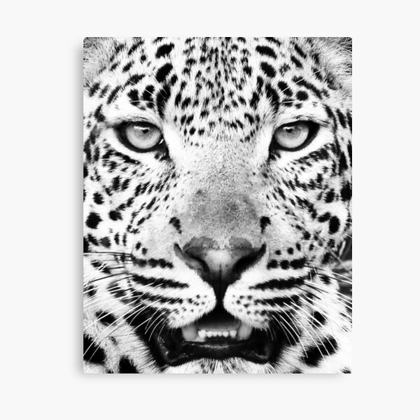 Item preview, Leopard portrait print designed and sold by juliaemelian.