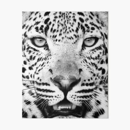 Vista previa del artículo con la obra «Estampado de leopardo», diseñado y vendido por juliaemelian.