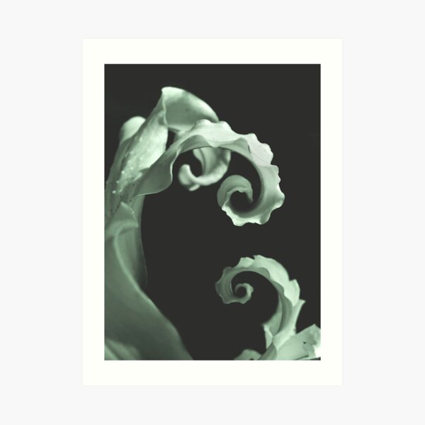 Final Twirl Art Print