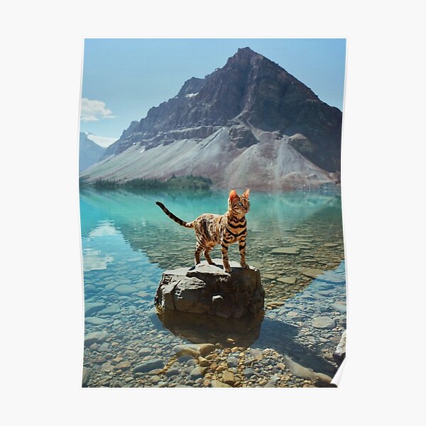 " BengArt the shop of a kittyloving cat bender" Poster for Sale by