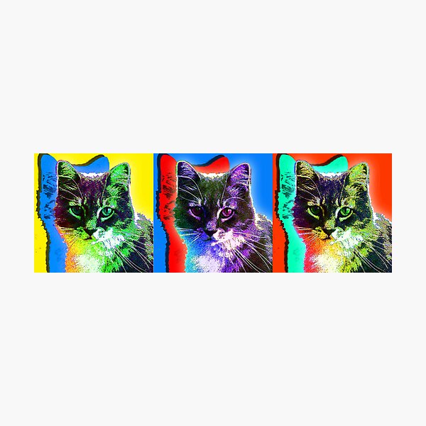 Item preview, Cat designed and sold by carin berger.