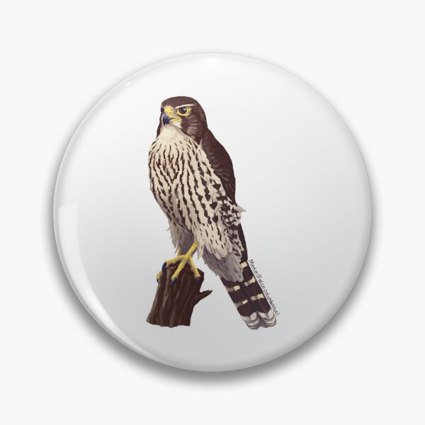 Item preview, Merlin - Falco columbarius designed and sold by loka-Art.