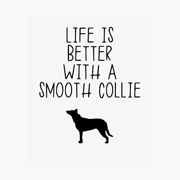 Item preview, Life Is Better With A Smooth Collie designed and sold by kindxinn.
