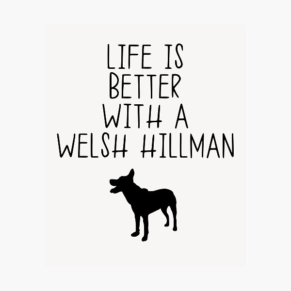 Item preview, Life Is Better With A Welsh Hillman designed and sold by kindxinn.