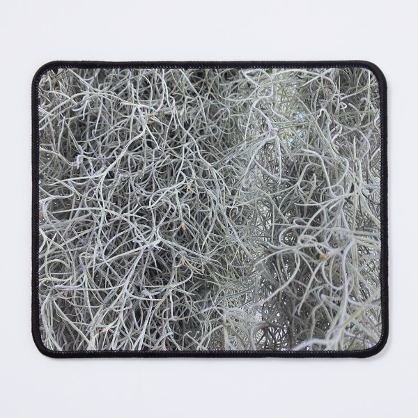 Item preview, Spanish Moss designed and sold by DentistArt2022.