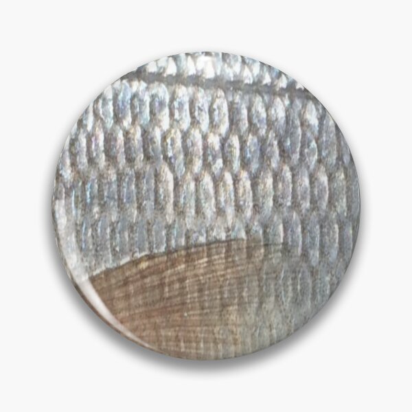 Item preview, White Perch Scales (Natural) Skin Pattern  designed and sold by CJRPics.